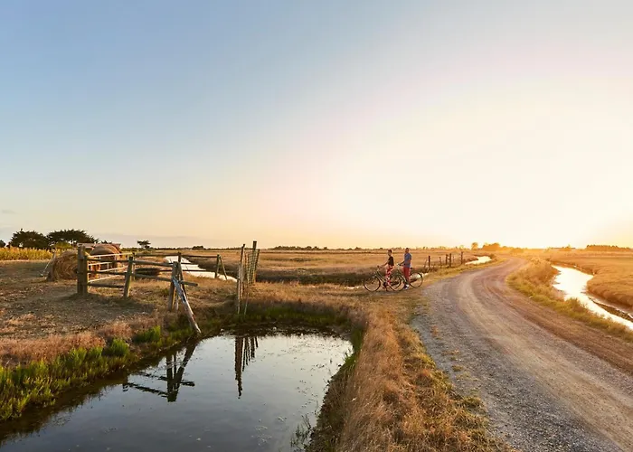 Maison De Dame-de-monts - 4 Pers - Animaux Acceptés - Fr-1-540-305 Hébergement de vacances *