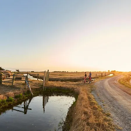 Maison De Dame-de-monts - 4 Pers - Animaux Acceptes - Fr-1-540-305 Vakantiehuis *