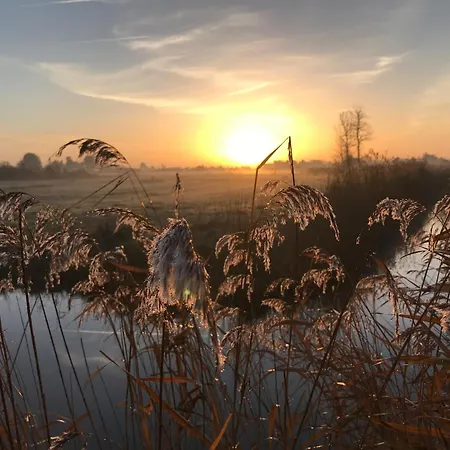 Vakantiehuis Maison De Dame-de-monts - 4 Pers - Animaux Acceptes - Fr-1-540-305 *
