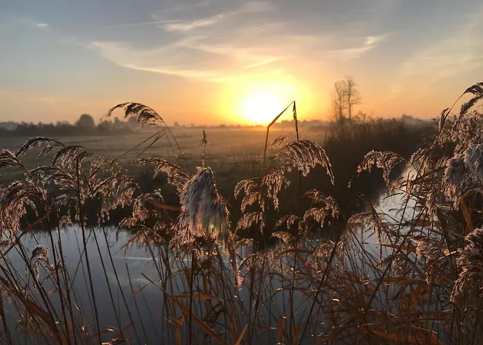 Prázdninový dům Maison De Dame-de-monts - 4 Pers - Animaux Acceptes - Fr-1-540-305 Notre-Dame-de-Monts